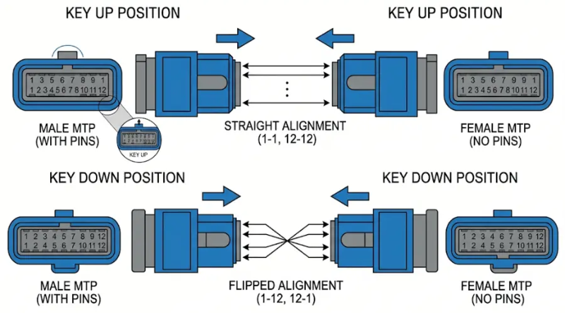 MTP connector key up and key down orientation diagram for fiber alignment MTP connector key up and key down orientation diagram for fiber alignment