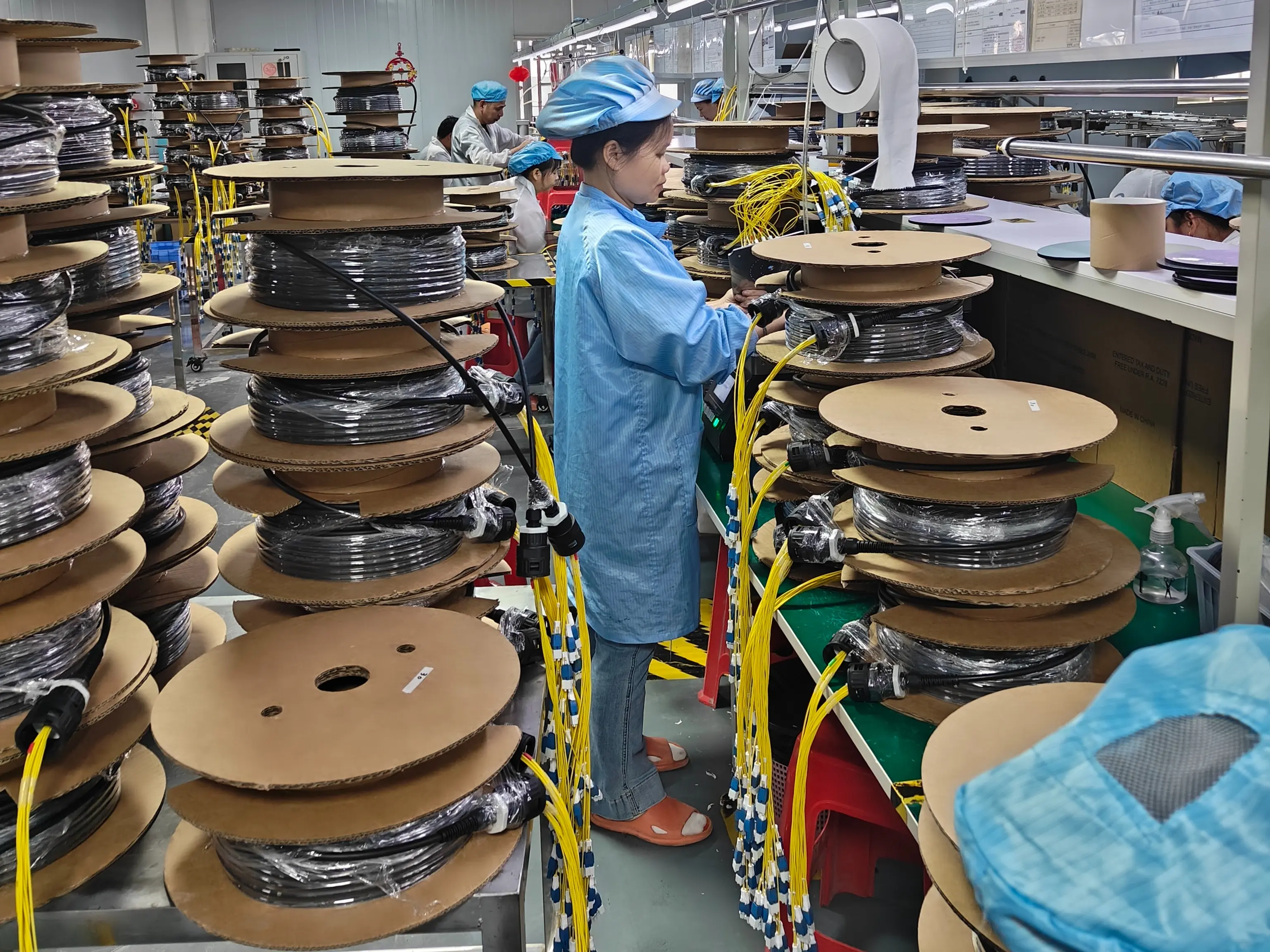 Component Assembly and Packaging